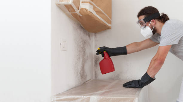 Professional Mold Cleanup technician working in Melrose Park, NY